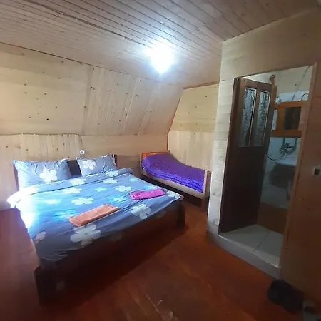 Bujtina 2 *